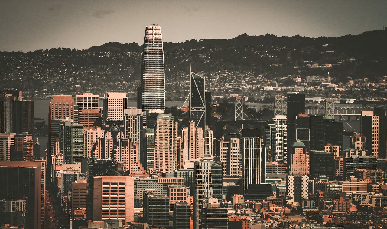 理及心理层 理及心理层