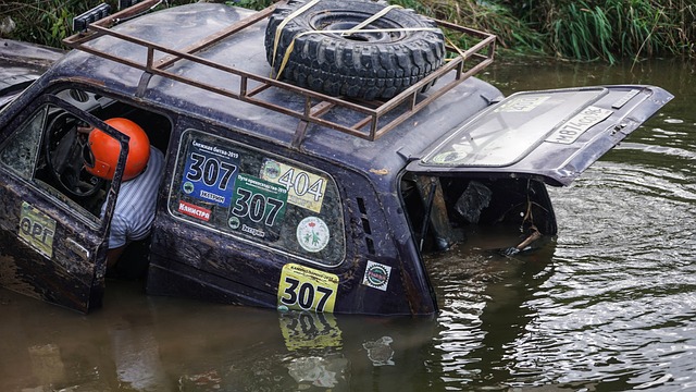 互动交流案 互动交流案