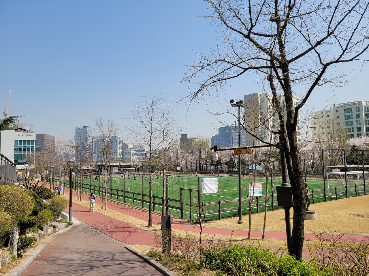 麦迪逊1v 麦迪逊1v