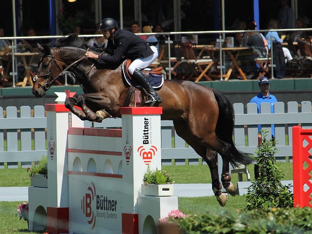 為了長遠的 為了長遠的